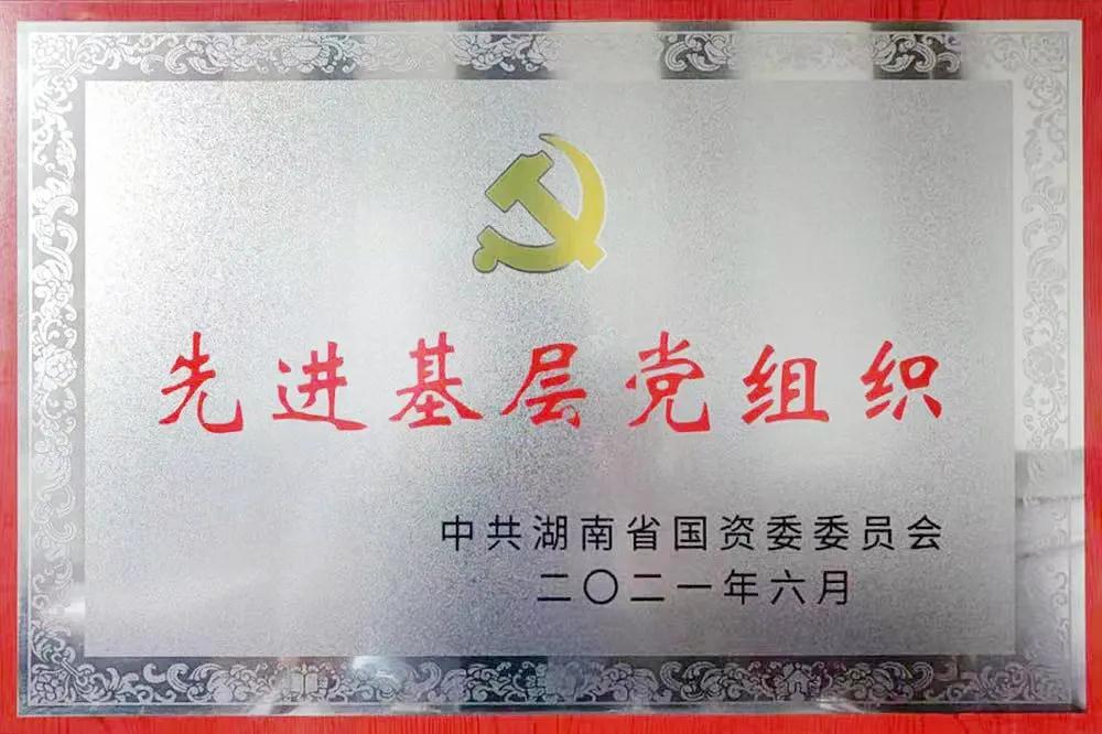 牵引电机党支部 先进基层党支部.jpg 牵引电机党支部 先进基层党支部.jpg