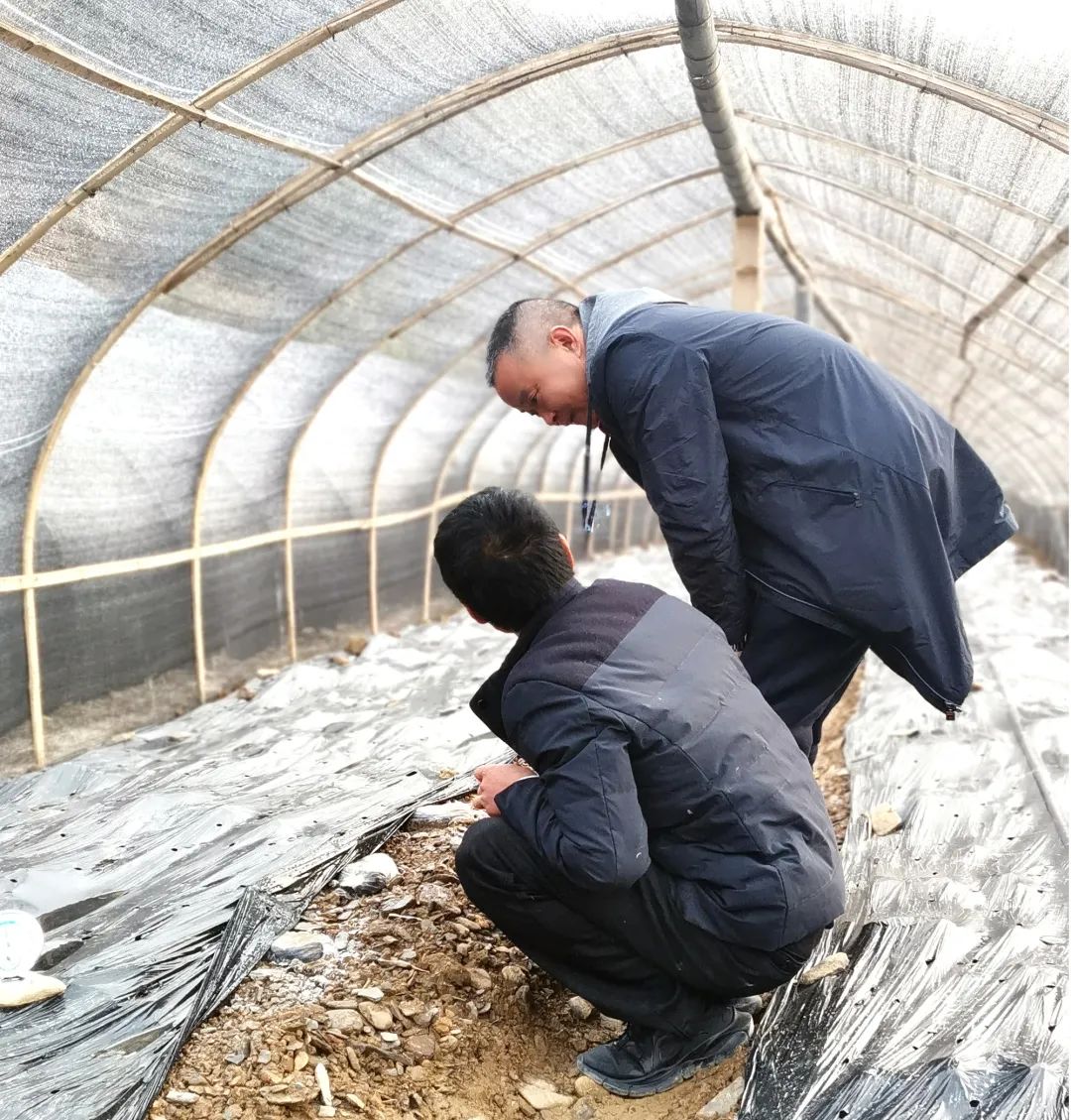 微信图片_20221229145638.jpg 微信图片_20221229145638.jpg